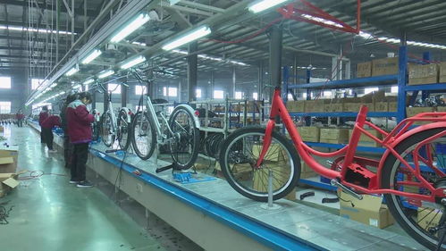 活力新衢州 美麗大花園 衢州 加大產品創新力度 不斷開拓國際市場